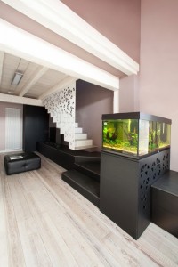 akvarium tělo
