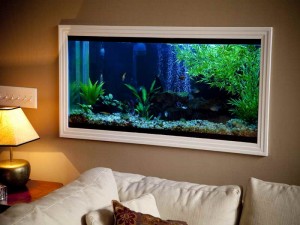 akvarium tělo článku